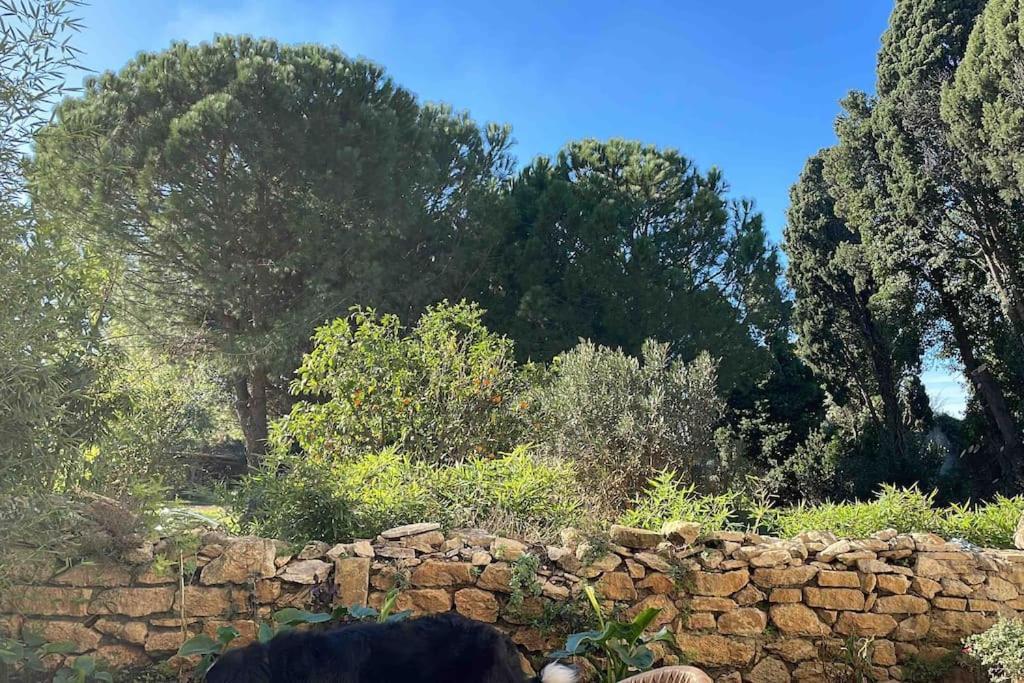 Gite Mas Provencal Tarascon Bagian luar foto