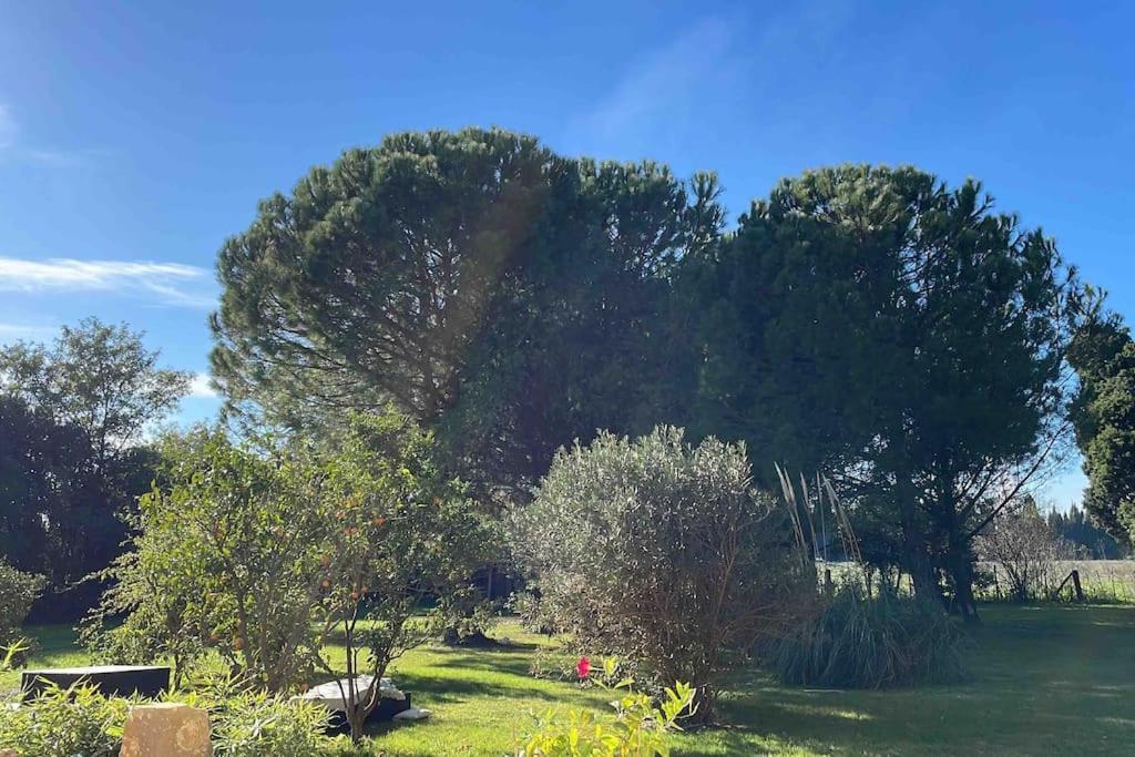 Gite Mas Provencal Tarascon Bagian luar foto