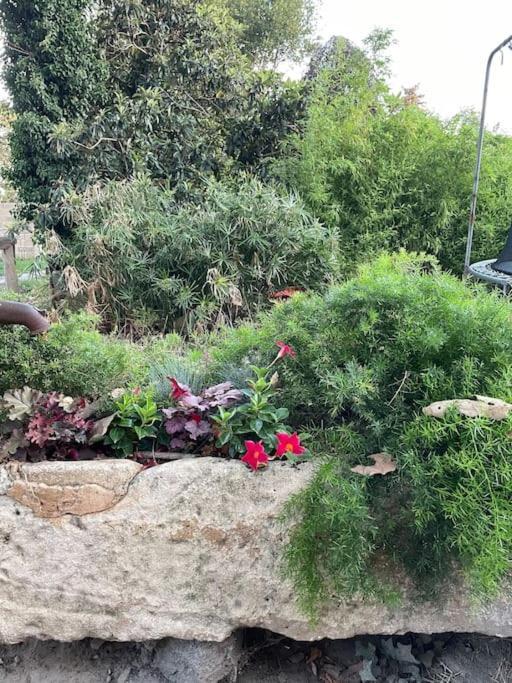 Gite Mas Provencal Tarascon Bagian luar foto